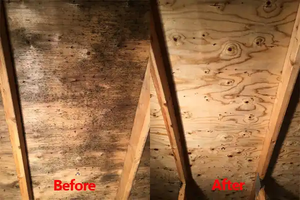 water damage restoration service Oil City